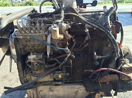 Cummins 8.3C