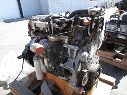 International maxxforce gdt255