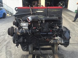 Cummins N14 Celect Plus (RED TOP)