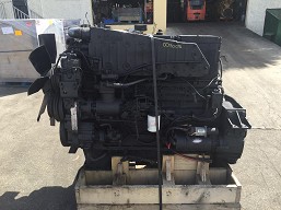 Cummins 444