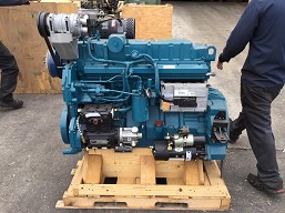 International DT530E NO EGR (NEW)