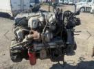  alt=
